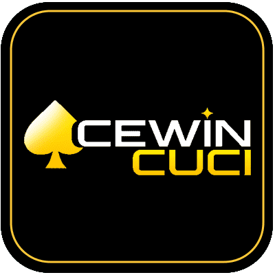 Acewincuci
