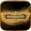 FORTUNE111